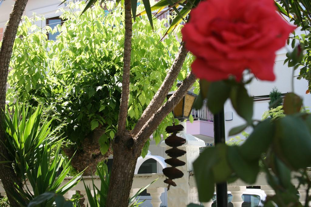 Dionisos Palms Apartments Paralia Dionisiou Zimmer foto