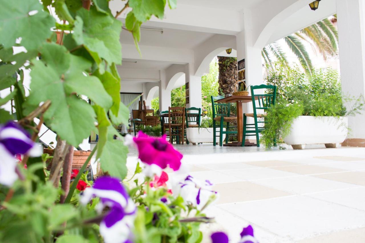 Dionisos Palms Apartments Paralia Dionisiou Exterior foto